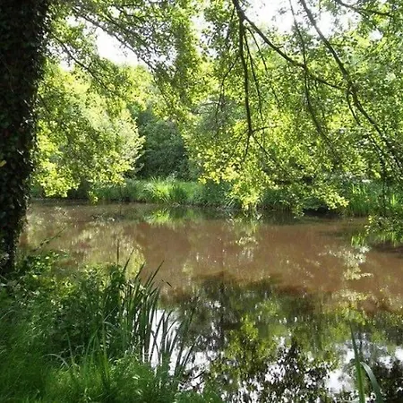 Mobil-home Spacieux Pour 6 Pers Avec Terrasse - Api-1-52-603 キャンプ場