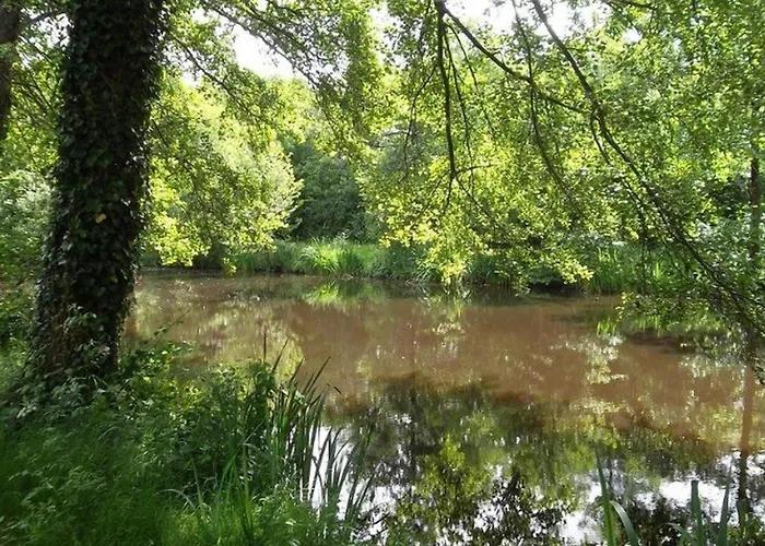 Mobil-home Spacieux Pour 6 Pers Avec Terrasse - Api-1-52-603 *